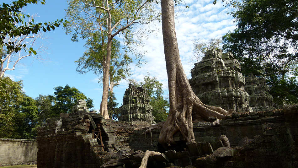 P1010328_Ta_Prohm.jpg
