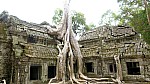 Thumbnail of P1010278_Ta_Prohm.jpg