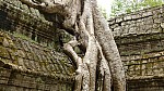 Thumbnail of P1010280_Ta_Prohm.jpg