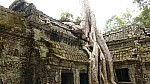 Thumbnail of P1010281_Ta_Prohm.jpg