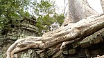 Thumbnail of P1010286_Ta_Prohm.jpg