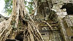 Thumbnail of P1010293_Ta_Prohm.jpg