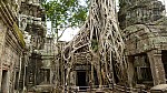 Thumbnail of P1010304_Ta_Prohm.jpg