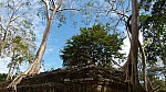 Thumbnail of P1010317_Ta_Prohm.jpg