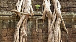 Thumbnail of P1010321_Ta_Prohm.jpg