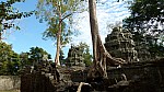 Thumbnail of P1010328_Ta_Prohm.jpg