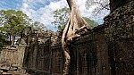 Thumbnail of P1010522_Angkor_Preah_Khan.jpg