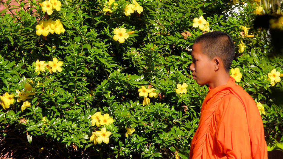 P1010865_Moench_Nationalmuseum_Phnom_Penh.jpg