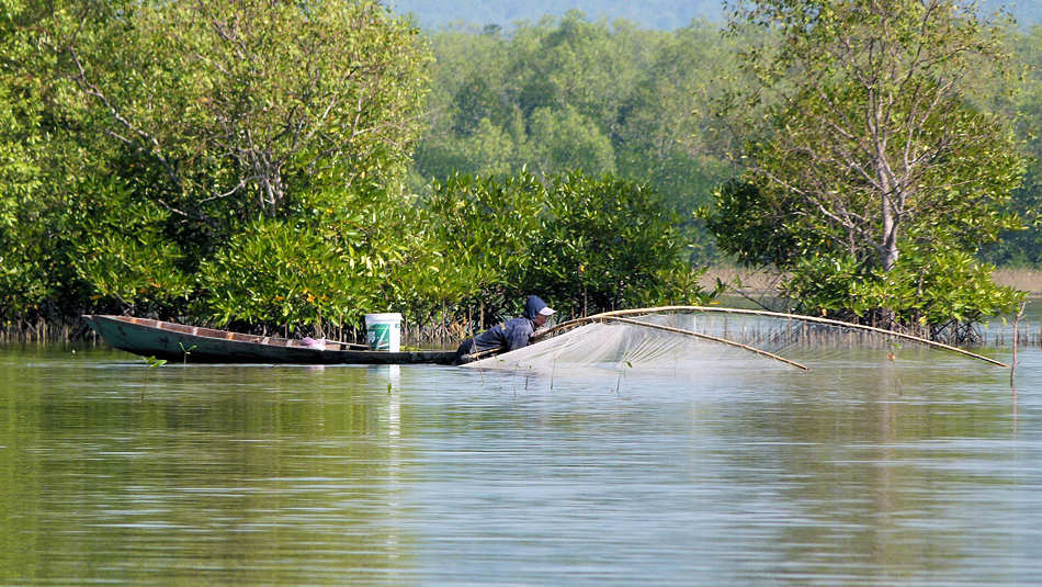 P1010937_Ream_Preah_Sihanouk_National_Park.jpg