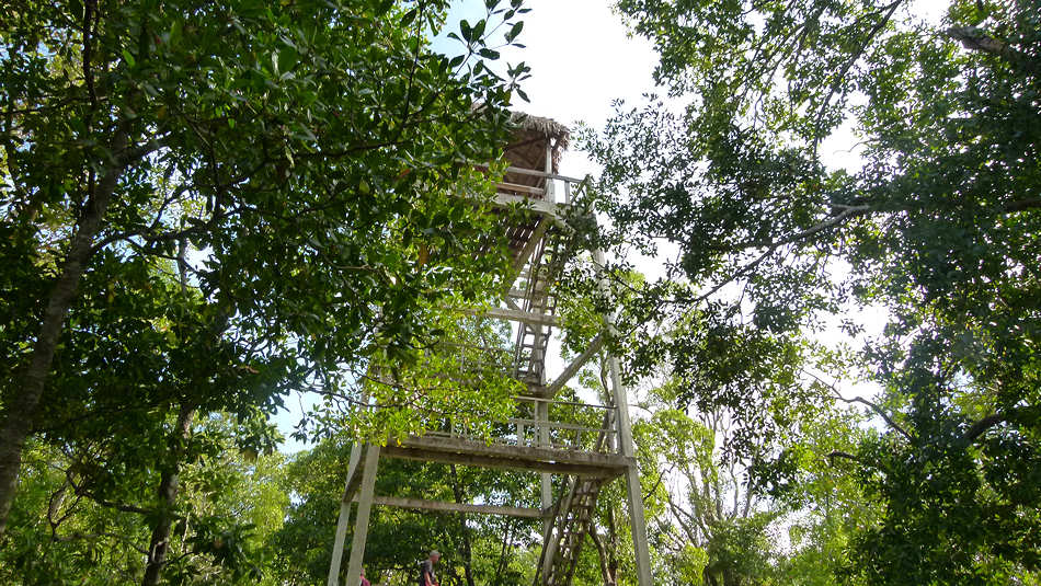 P1020020_Ream_Preah_Sihanouk_National_Park.jpg