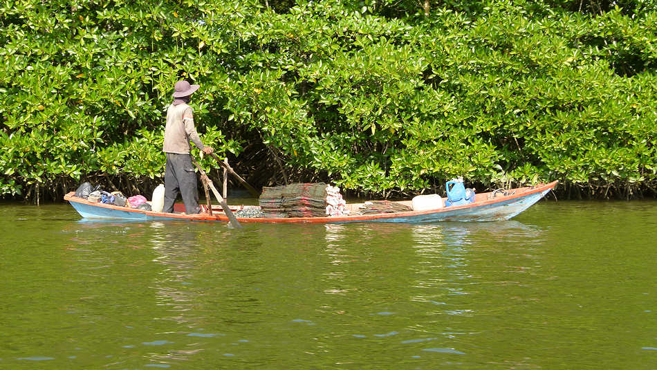 P1020029_Ream_Preah_Sihanouk_National_Park.jpg