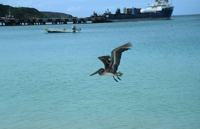 Anguilla-01-089.jpg