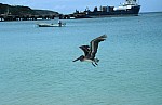 Thumbnail of Anguilla-01-089.jpg