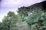 Thumbnail of Antigua-01-038.jpg