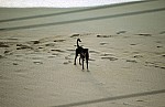 Thumbnail of Antigua-01-048.jpg