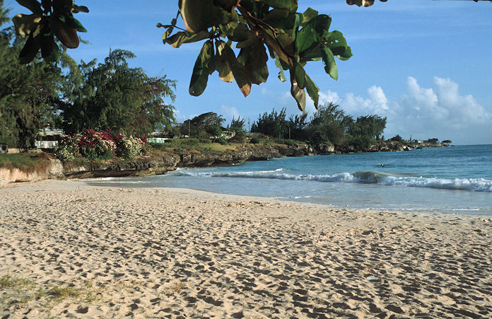 Barbados-01-126.jpg