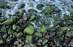 Thumbnail of Barbados-01-122.jpg