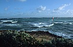 Thumbnail of Barbados-01-137.jpg