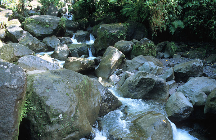 Dominica-02-104.jpg