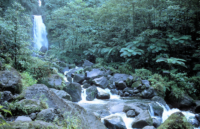 Dominica-02-105.jpg