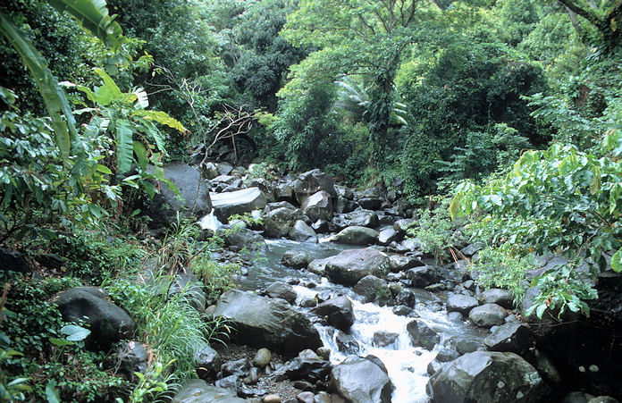 Grenada-01-157.jpg