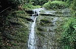 Thumbnail of Grenada-01-159.jpg