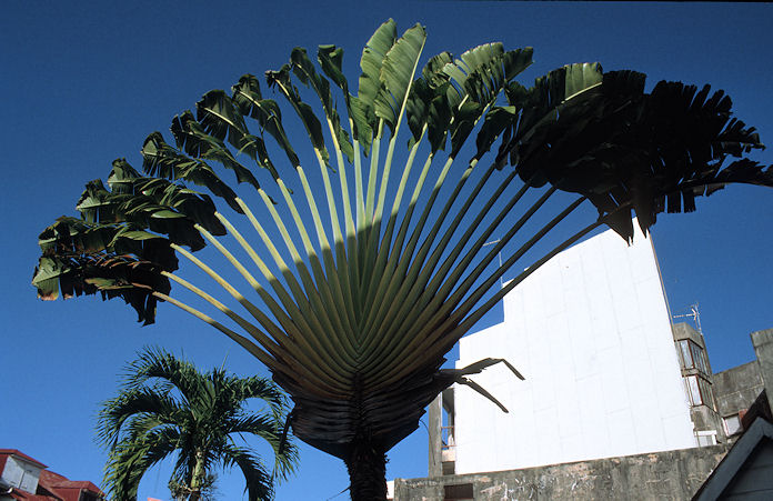 Guadeloupe-01-016.jpg