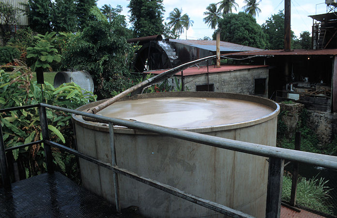 Guadeloupe-02-140.jpg