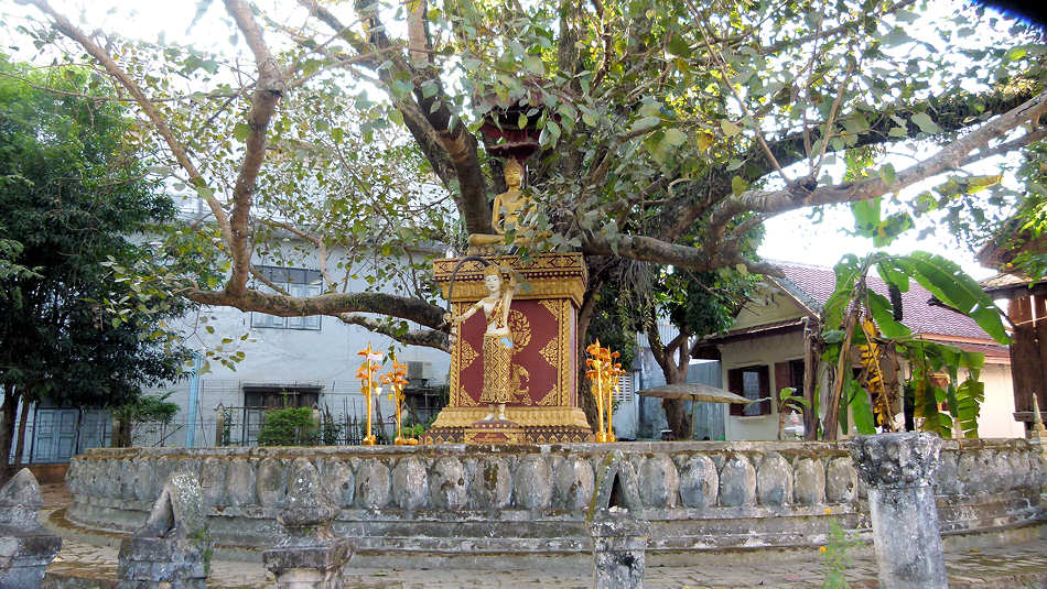 P1000243_Luang_Prabang.jpg