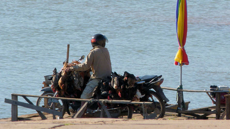 P1010048_Mekong_nahe_Muang_Khong.jpg