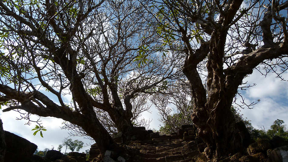 P1010083_Vat_Phou_Champasak.jpg