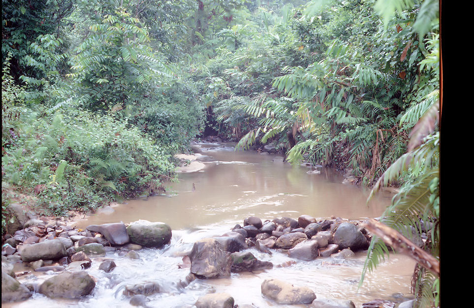 Singapur Malaysia Thailand 1988-01-115.jpg