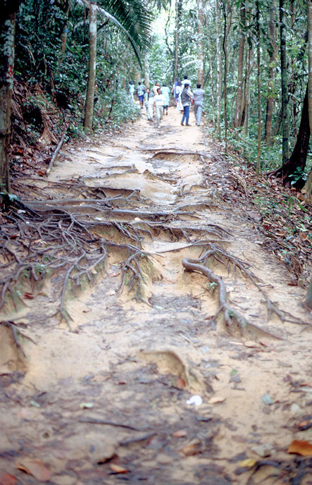 Singapur Malaysia Thailand 1988-01-117.jpg