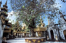 Thumbnail of Myanmar 2000-01-033.jpg