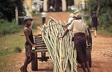 Thumbnail of Myanmar 2000-01-068.jpg