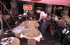 Thumbnail of Myanmar 2000-01-084.jpg