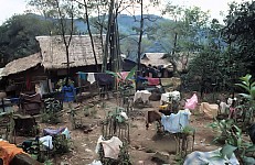 Thumbnail of Myanmar 2000-01-114.jpg