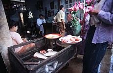 Thumbnail of Myanmar 2000-01-127.jpg