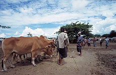 Thumbnail of Myanmar 2000-01-147.jpg