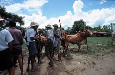 Thumbnail of Myanmar 2000-01-149.jpg