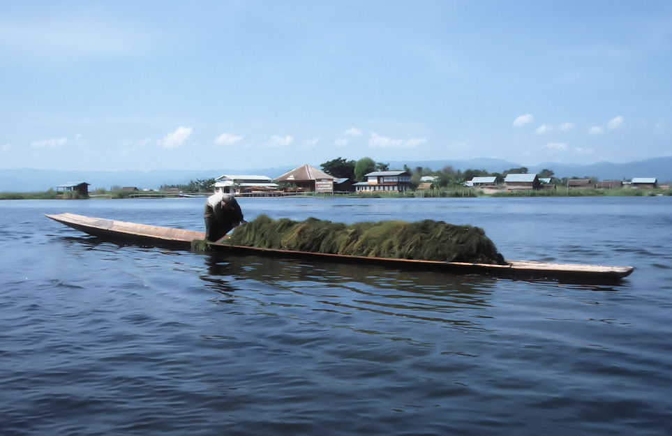 Myanmar 2000-02-080.jpg