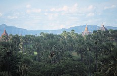 Thumbnail of Myanmar 2000-02-003.jpg