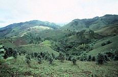 Thumbnail of Myanmar 2000-02-045.jpg