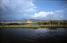Thumbnail of Myanmar 2000-02-110.jpg