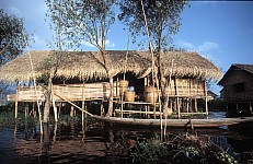 Thumbnail of Myanmar 2000-02-111.jpg