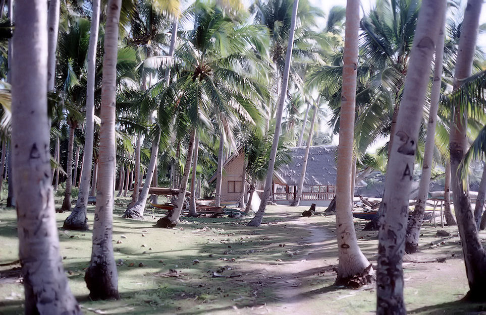 Philippinen Hong Kong Taiwan 1989-04-013.jpg