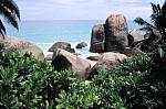 Thumbnail of Seychellen 1999-047.jpg
