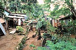 Thumbnail of Seychellen 1999-062.jpg