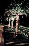 Thumbnail of Singapur Malaysia Thailand 1988-01-018.jpg