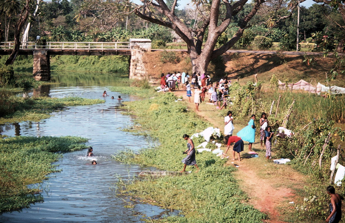 Sri Lanka 1982-02-100.jpg